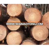 PINE WOOD LOGS FOR SALE